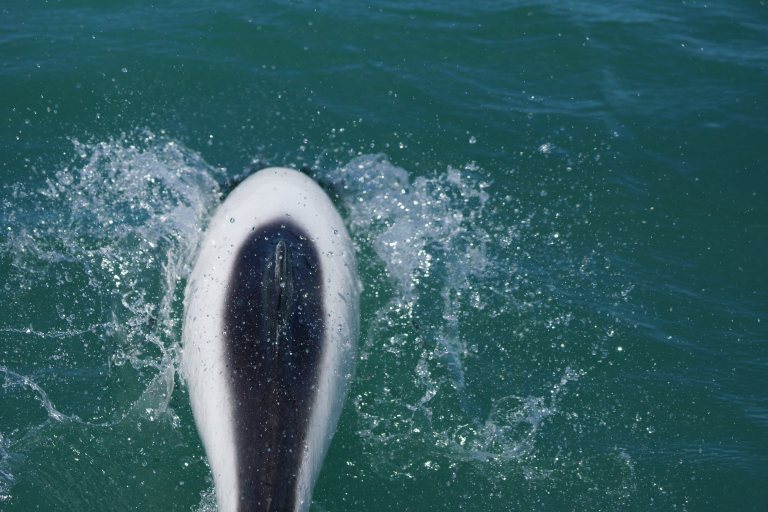 2018-12-14 15.20.44-6