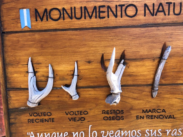 00012 gewij-en close up