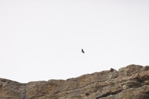 onderweg lake sasja condor