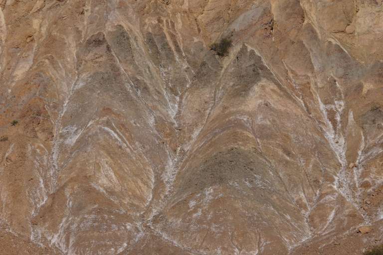 00004 closeupnpleonci