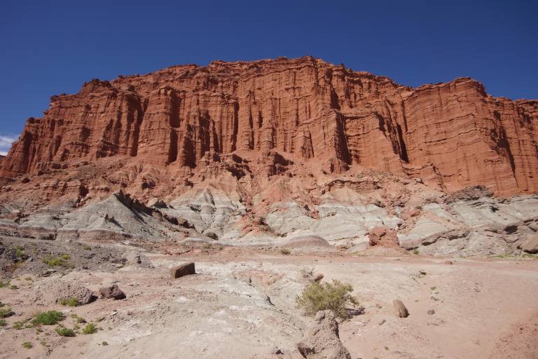 00010 npiscrodebergen