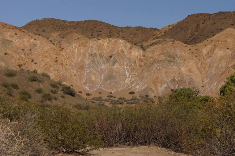 00014 roderotsennpleon