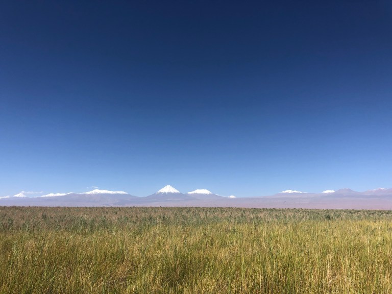 onderaan00013 groenewoestijn