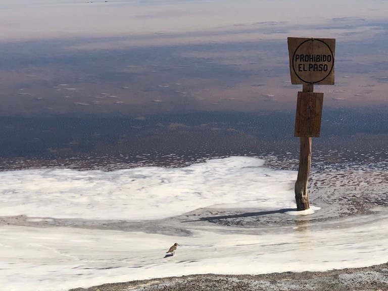 onderaan00040 verbodentoegangvogel