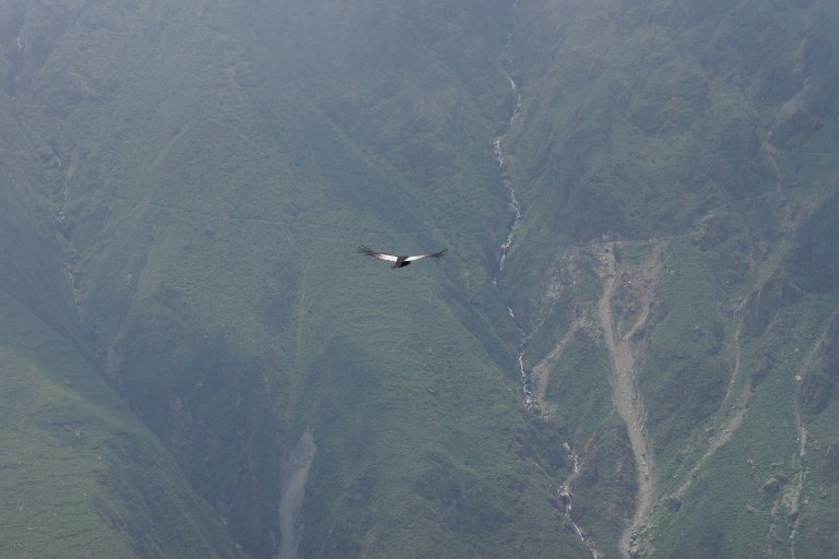 00028 condor7 + uitzicht