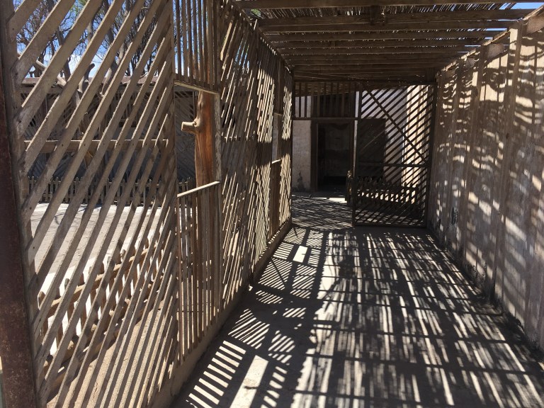 00037 humbertonschaduw