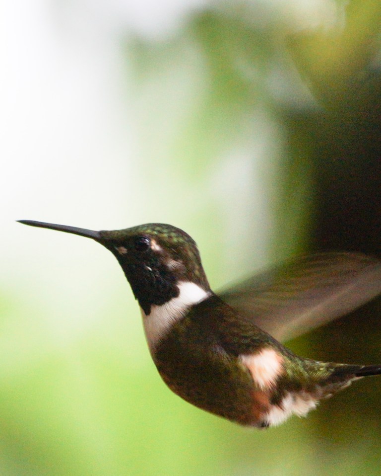 compicompiDSC09631 2