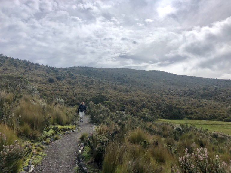 00014 hikecotopaxi