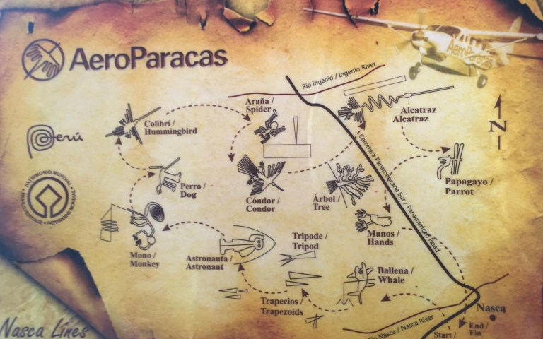 00027 vliegenplatagrond