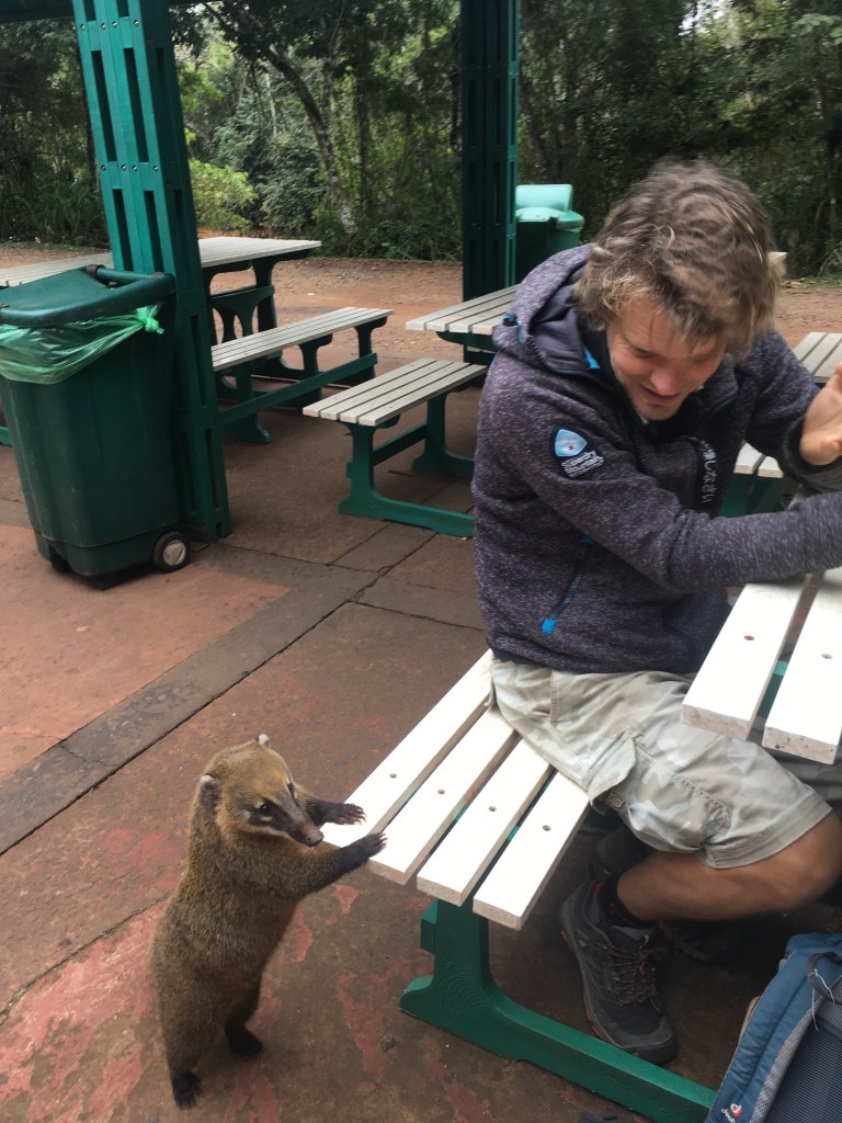 iguazu rondlopend wild