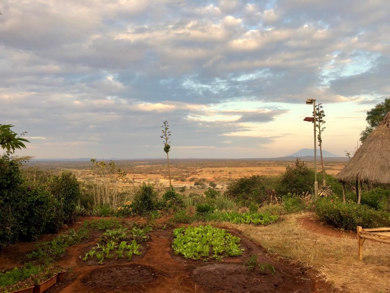 tuin AnneloesIMG_0826