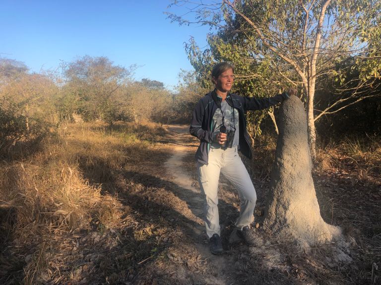 00018 00173 avlmierenhoop