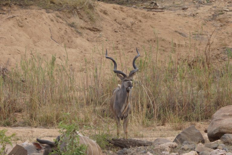 024 kudumanoverzicht