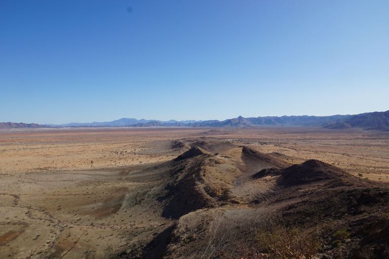 00010 campgeckozebra