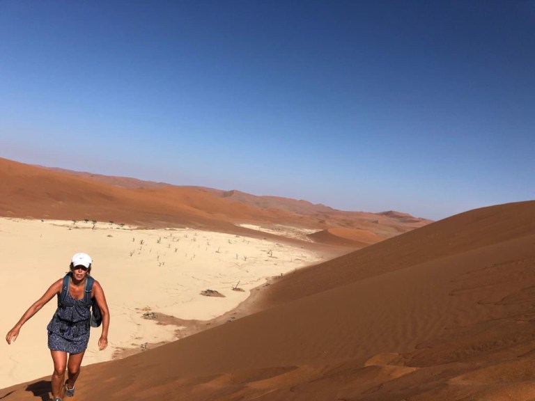 1063cf4f-e0c2-4265-9de0-9cc08a79fcdf